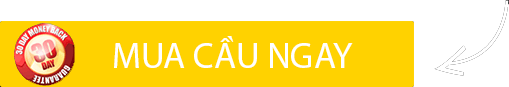 Mua cầu ngay